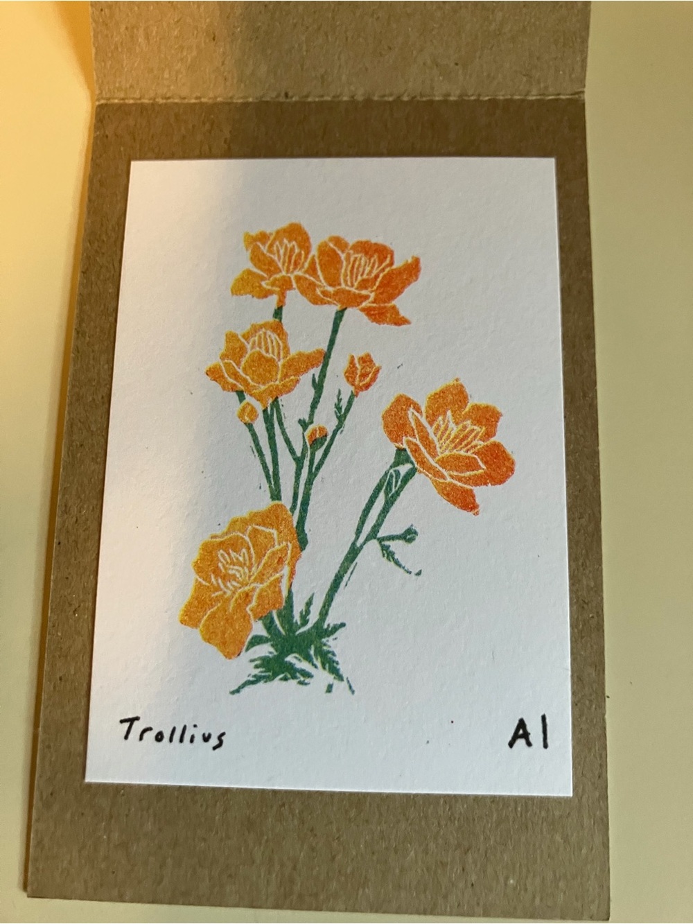 Anastasia Inciardi "Trollius"  Flower Mini Print From NYBG Vending Machine